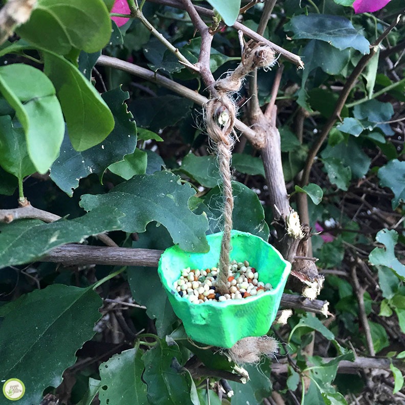 Upcycled Egg Carton Bird Feeder Craft Monthly Science and Art