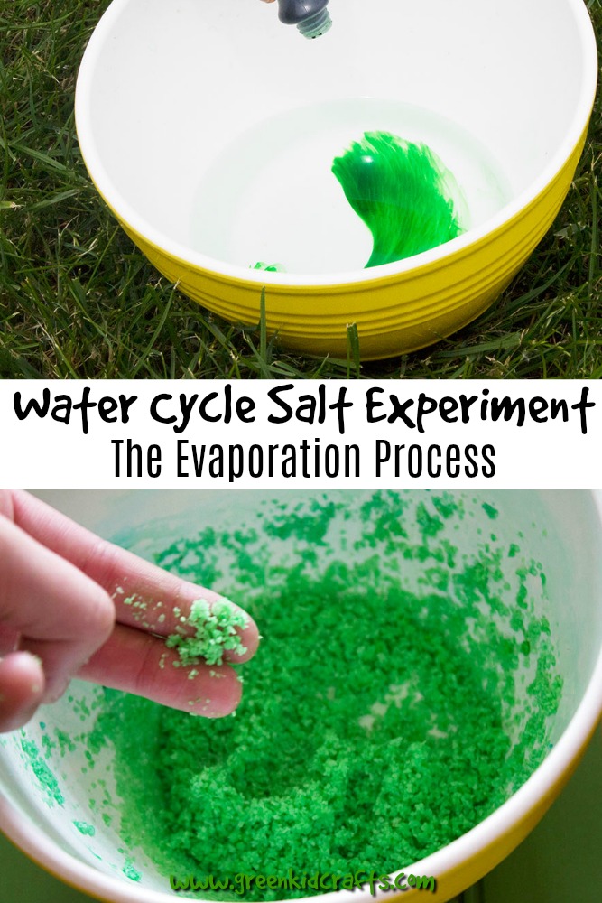 Learning about the Water Cycle with Salt Water cycle experiment for kids. Learn about the water cycle with a salt and water activity that shows kids the result of evaporation.
