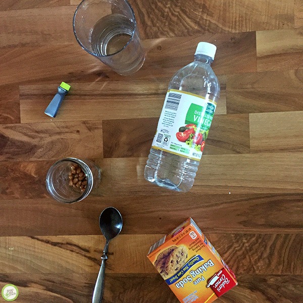 Magic Jumping Beans Science Experiment for Kids Monthly Science and