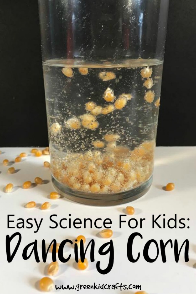 Dancing Corn Fall STEM Activity Monthly Science and Art Projects for
